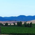 Agrotikos-Synetairismos-Erythron-Attikis-23