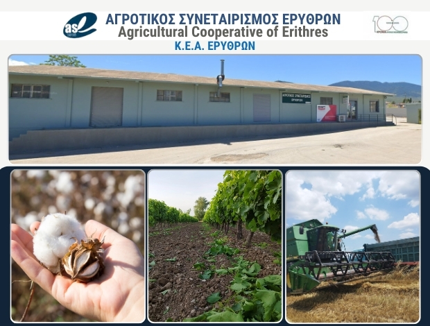 ΑΓΡΟΤΙΚΟΣ ΣΥΝΕΤΑΙΡΙΣΜΟΣ ΕΡΥΘΡΩΝ ΑΤΤΙΚΗΣ  Α.Σ. ΕΡΥΘΡΩΝ