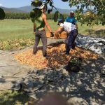 Agrotikos-Synetairismos-Fistikoparagogon-Makris-Fthiotidas-17