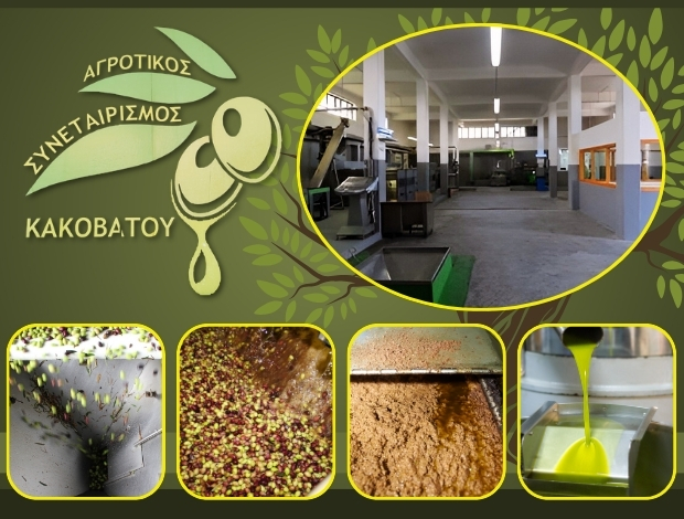 ΑΓΡΟΤΙΚΟΣ ΣΥΝΕΤΑΙΡΙΣΜΟΣ ΚΑΚΟΒΑΤΟΥ ΗΛΕΙΑΣ