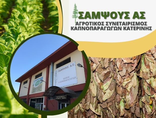 ΑΓΡΟΤΙΚΟΣ ΣΥΝΕΤΑΙΡΙΣΜΟΣ  ΚΑΠΝΟΠΑΡΑΓΩΓΩΝ ΚΑΤΕΡΙΝΗΣ  “ΑΣ ΣΑΜΨΟΥΣ”