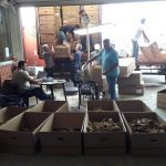 Agrotikos-Synetairismos-Kapnoparagogon-Katerinis-As-Sampsous-n(8)
