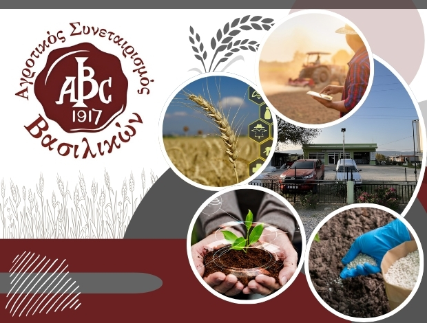 ΑΓΡΟΤΙΚΟΣ ΣΥΝΕΤΑΙΡΙΣΜΟΣ ΒΑΣΙΛΙΚΩΝ ΘΕΣΣΑΛΟΝΙΚΗΣ