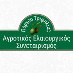 Argotikos-Elaiourgikos-Synetairismos-Pyrgou-Trifylias-(1)