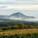 Argotikos-Elaiourgikos-Synetairismos-Pyrgou-Trifylias-(2)