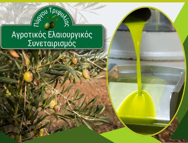 ΑΓΡΟΤΙΚΟΣ ΕΛΑΙΟΥΡΓΙΚΟΣ ΣΥΝΕΤΑΙΡΙΣΜΟΣ ΠΥΡΓΟΥ ΤΡΙΦΥΛΙΑΣ ΣΥΝΠΕ
