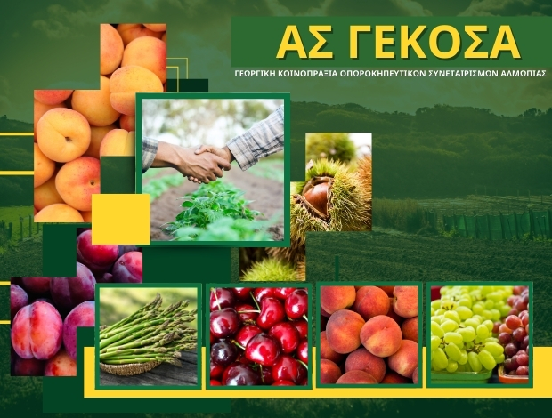 ΓΕΚΟΣΑ ΑΓΡΟΤΙΚΟΣ ΣΥΝΕΤΑΙΡΙΣΜΟΣ ΑΛΜΩΠΙΑΣ