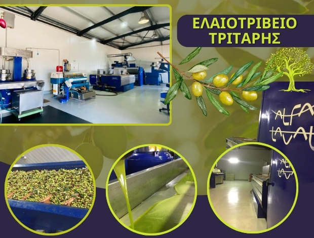 ΕΛΑΙΟΤΡΙΒΕΙΟ ΑΓΙΟΣ ΧΑΡΑΛΑΜΠΟΣ ΗΛΕΙΑΣ “ΤΡΙΤΑΡΗΣ” ΝΙΚΟΛΟΠΟΥΛΟΥ ΓΕΩΡΓΙΑ