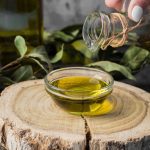 ΕΛΑΙΟΤΡΙΒΕΙΟ-ΕΛΑΤΕΙΑ-ΛΑΡΙΣΑΣ-ΣΟΛΩΜΟΣ-ΧΑΙΝΤΟΥΤΗΣ-ΚΙΤΣΙΟΣ