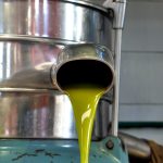 Ελαιουργείο-Νερόκουρος-Χανίων-Ανδρονικάκης-Γ ΑΕΒΕ