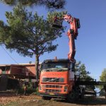 ΓΕΡΑΝΟΙ-ΑΡΓΟΣΤΟΛΙ-ΚΕΦΑΛΟΝΙΑ-ΠΑΠΑΔΑΤΟΣ-ΣΠΥΡΙΔΩΝ