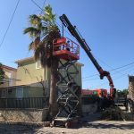 ΓΕΡΑΝΟΙ-ΑΡΓΟΣΤΟΛΙ-ΚΕΦΑΛΟΝΙΑ-ΠΑΠΑΔΑΤΟΣ-ΣΠΥΡΙΔΩΝ