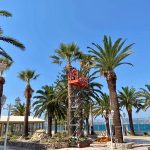ΓΕΡΑΝΟΙ-ΑΡΓΟΣΤΟΛΙ-ΚΕΦΑΛΟΝΙΑ-ΠΑΠΑΔΑΤΟΣ-ΣΠΥΡΙΔΩΝ