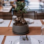 Mezedopoleio-Evosmos-Thessalonikis-Troufa-(4)