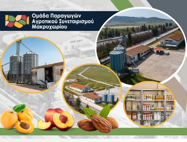 ΟΜΑΔΑ ΠΑΡΑΓΩΓΩΝ ΑΓΡΟΤΙΚΟΥ ΣΥΝΕΤΑΙΡΙΣΜΟΥ ΜΑΚΡΥΧΩΡΙΟΥ ΛΑΡΙΣΑΣ – ΑΝΑΠΤΥΞΗ ΜΑΚΡΥΧΩΡΙΟΥ