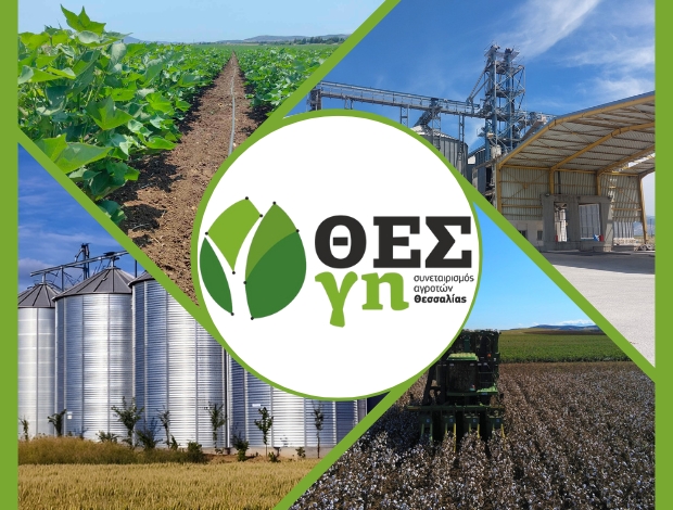ΣΥΝΕΤΑΙΡΙΣΜΟΣ ΑΓΡΟΤΩΝ ΘΕΣΣΑΛΙΑΣ “ΘΕΣγη”  ΜΕΛΙΣΣΟΧΩΡΙ ΛΑΡΙΣΑΣ