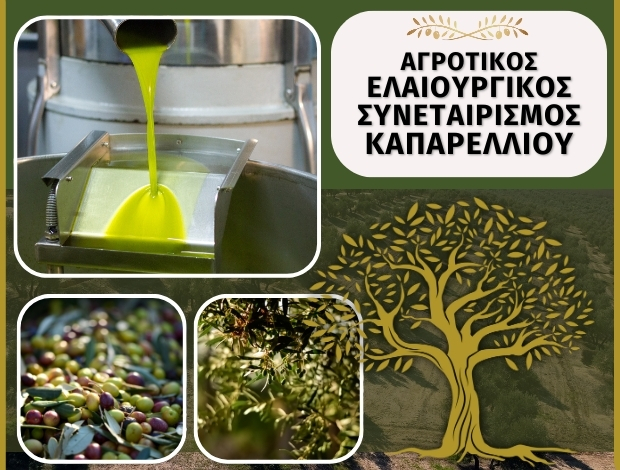 ΑΓΡΟΤΙΚΟΣ ΕΛΑΙΟΥΡΓΙΚΟΣ ΣΥΝΕΤΑΙΡΙΣΜΟΣ ΚΑΠΑΡΕΛΛΙΟΥ ΒΟΙΩΤΙΑΣ