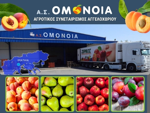 ΑΓΡΟΤΙΚΟΣ ΣΥΝΕΤΑΙΡΙΣΜΟΣ ΑΓΓΕΛΟΧΩΡΙΟΥ  “Η ΟΜΟΝΟΙΑ”