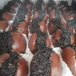 ΑΡΤΟΖΑΧΑΡΟΠΛΑΣΤΕΙΟ-ΠΛΑΤΑΝΑ-ΕΥΒΟΙΑΣ-ΤΣΑΚΛΑΝΟΣ