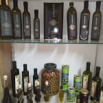 ΕΛΑΙΟΤΡΙΒΕΙΟ-ΚΑΤΩ-ΑΧΑΪΑ-ΑΧΑΪΚΗ-ΕΛΑΙΟΥΡΓΙΚΗ