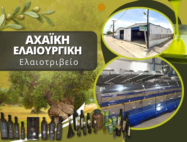 ΕΛΑΙΟΤΡΙΒΕΙΟ ΚΑΤΩ ΑΧΑΪΑ  ΑΧΑΪΚΗ ΕΛΑΙΟΥΡΓΙΚΗ ΕΕ