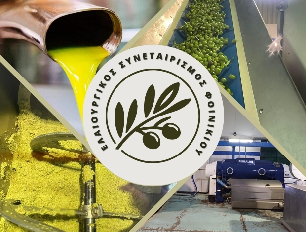 ΕΛΑΙΟΥΡΓΙΚΟΣ ΣΥΝΕΤΑΙΡΙΣΜΟΣ ΦΟΙΝΙΚΙΟΥ  ΜΟΛΑΟΙ ΛΑΚΩΝΙΑΣ