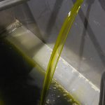 ΕΛΑΙΟΥΡΓΕΙΟ-ΚΑΤΩ-ΑΧΑΪΑ-ΤΑΠΕΙΝΟΣ-ΝΙΚΟΛΑΟΣ
