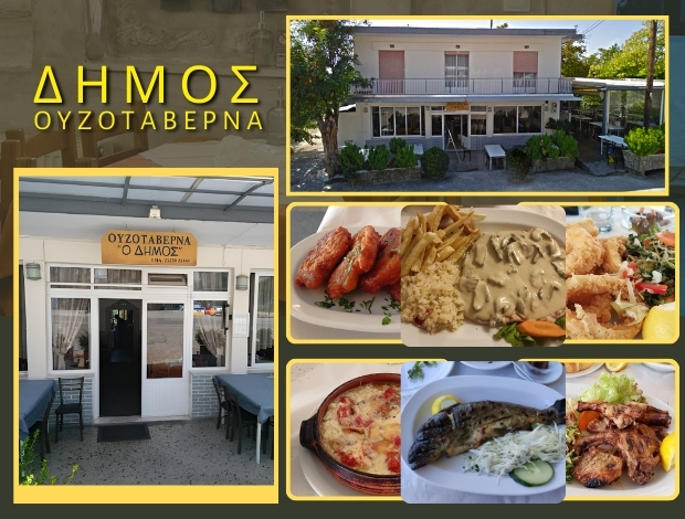 ΟΥΖΟΤΑΒΕΡΝΑ ΣΙΔΗΡΟΚΑΣΤΡΟ ΣΕΡΡΩΝ  “ΔΗΜΟΣ”  ΣΑΒΒΙΔΟΥ ΣΟΥΖΑΝΑ