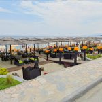 ΠΙΤΣΑΡΙΑ-ΛΕΠΤΟΚΑΡΥΑ-PLOTON-CAFE-BAR