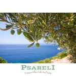 ΕΛΑΙΟΤΡΙΒΕΙΟ-ΔΡΑΒΗΣΚΟΣ-ΣΕΡΡΩΝ-PSARELI-KOVOUSIDI-AFOI