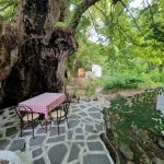 ΤΑΒΕΡΝΑ-ΑΚΡΟΒΟΥΝΙ-ΚΑΒΑΛΑΣ-ΔΥΟ-ΒΡΥΣΕΣ-GREEKONLINE