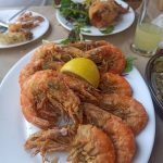 ΨΗΤΟΠΩΛΕΙΟ-ΑΒΔΗΡΑ-ΞΑΝΘΗΣ-ΑΥΛΟΓΥΡΟΣ-GREEKONLINE