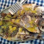 ΨΗΤΟΠΩΛΕΙΟ-ΑΒΔΗΡΑ-ΞΑΝΘΗΣ-ΑΥΛΟΓΥΡΟΣ-GREEKONLINE