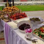 ΤΑΒΕΡΝΑ-ΠΛΕΥΡΩΜΑ-ΣΚΥΔΡΑ-ΑΡΧΟΝΤΙΚΟ-GREEKONLINE