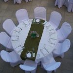 ΤΑΒΕΡΝΑ-ΠΛΕΥΡΩΜΑ-ΣΚΥΔΡΑ-ΑΡΧΟΝΤΙΚΟ-GREEKONLINE