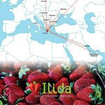 ΑΓΡΟΤΙΚΟΣ-ΣΥΝΕΤΑΙΡΙΣΜΟΣ-ΦΡΑΟΥΛΑΣ-ΝΕΟ-ΒΟΥΠΡΑΣΙΟ-ΗΛΙΔΑ