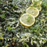 ΕΣΤΙΑΤΟΡΙΟ-ΓΙΑΝΝΙΤΣΑ-COSTA-COOKING-GREEKONLINE