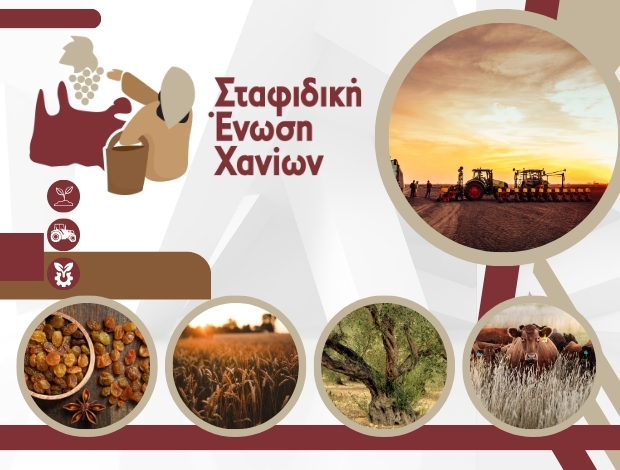 ΣΤΑΦΙΔΙΚΗ ΕΝΩΣΗ ΧΑΝΙΩΝ ΑΕΣ ΑΕ