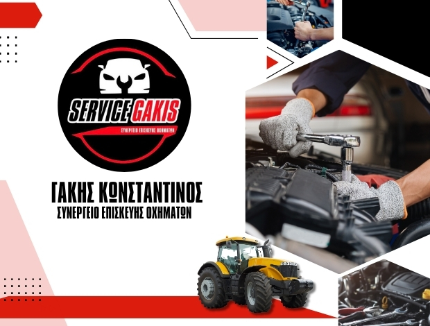 ΣΥΝΕΡΓΕΙΟ ΑΥΤΟΚΙΝΗΤΩΝ ΑΡΝΙΣΣΑ ΠΕΛΛΑΣ ΓΑΚΗΣ ΚΩΝΣΤΑΝΤΙΝΟΣ