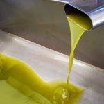 ΕΛΑΙΟΥΡΓΕΙΟ-ΠΑΝΑΙΤΩΛΙΟ-ΕΛΑΙΟΥΡΓΙΑ-ΨΑΡΡΑΣ-ΙΚΕ