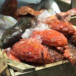 ΕΣΤΙΑΤΟΡΙΟ-ΚΥΘΝΟΣ-ΑΡΙΑΣ-RESTAURANT-ΒΛΑΣΤΑΡΗΣ