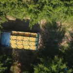 ΑΓΡΟΤΙΚΟΣ-ΣΥΝΕΤΑΙΡΙΣΜΟΣ-ΝΕΟΣ-ΑΠΟΛΛΩΝ-ΚΟΥΛΟΥΡΑΣ-ΒΕΡΟΙΑ