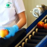 ΑΓΡΟΤΙΚΟΣ-ΣΥΝΕΤΑΙΡΙΣΜΟΣ-ΝΕΟΣ-ΑΠΟΛΛΩΝ-ΚΟΥΛΟΥΡΑΣ-ΒΕΡΟΙΑ