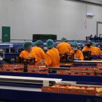 ΑΓΡΟΤΙΚΟΣ-ΣΥΝΕΤΑΙΡΙΣΜΟΣ-ΝΕΟΣ-ΑΠΟΛΛΩΝ-ΚΟΥΛΟΥΡΑΣ-ΒΕΡΟΙΑ