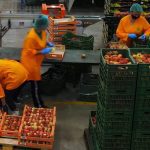 ΑΓΡΟΤΙΚΟΣ-ΣΥΝΕΤΑΙΡΙΣΜΟΣ-ΝΕΟΣ-ΑΠΟΛΛΩΝ-ΚΟΥΛΟΥΡΑΣ-ΒΕΡΟΙΑ