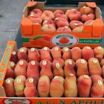 ΑΓΡΟΤΙΚΟΣ-ΣΥΝΕΤΑΙΡΙΣΜΟΣ-ΝΕΟΣ-ΑΠΟΛΛΩΝ-ΚΟΥΛΟΥΡΑΣ-ΒΕΡΟΙΑ