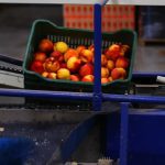 ΑΓΡΟΤΙΚΟΣ-ΣΥΝΕΤΑΙΡΙΣΜΟΣ-ΝΕΟΣ-ΑΠΟΛΛΩΝ-ΚΟΥΛΟΥΡΑΣ-ΒΕΡΟΙΑ