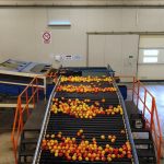 ΑΓΡΟΤΙΚΟΣ-ΣΥΝΕΤΑΙΡΙΣΜΟΣ-ΝΕΟΣ-ΑΠΟΛΛΩΝ-ΚΟΥΛΟΥΡΑΣ-ΒΕΡΟΙΑ