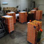 ΑΓΡΟΤΙΚΟΣ-ΣΥΝΕΤΑΙΡΙΣΜΟΣ-ΝΕΟΣ-ΑΠΟΛΛΩΝ-ΚΟΥΛΟΥΡΑΣ-ΒΕΡΟΙΑ