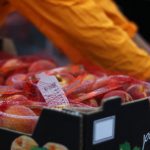 ΑΓΡΟΤΙΚΟΣ-ΣΥΝΕΤΑΙΡΙΣΜΟΣ-ΝΕΟΣ-ΑΠΟΛΛΩΝ-ΚΟΥΛΟΥΡΑΣ-ΒΕΡΟΙΑ